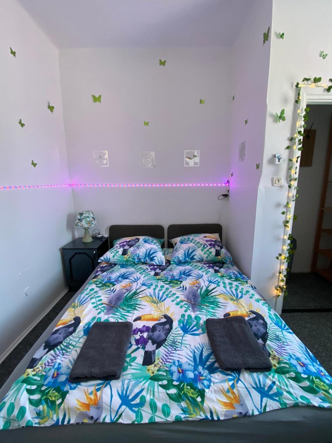 Jungle Rooms 格但斯克 客房 照片